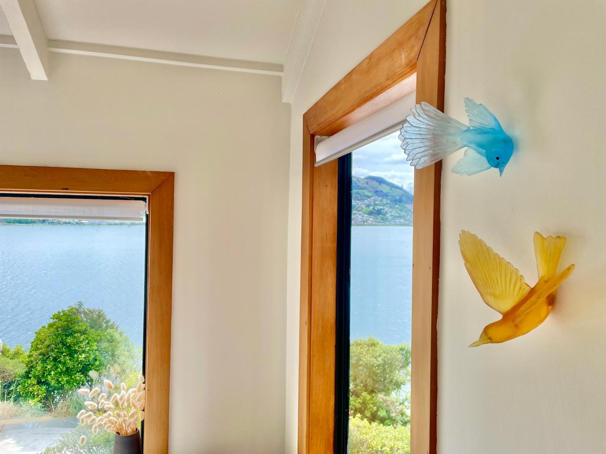 The Cove Cabin - Your Quiet Escape ดะนีดิน ภายนอก รูปภาพ