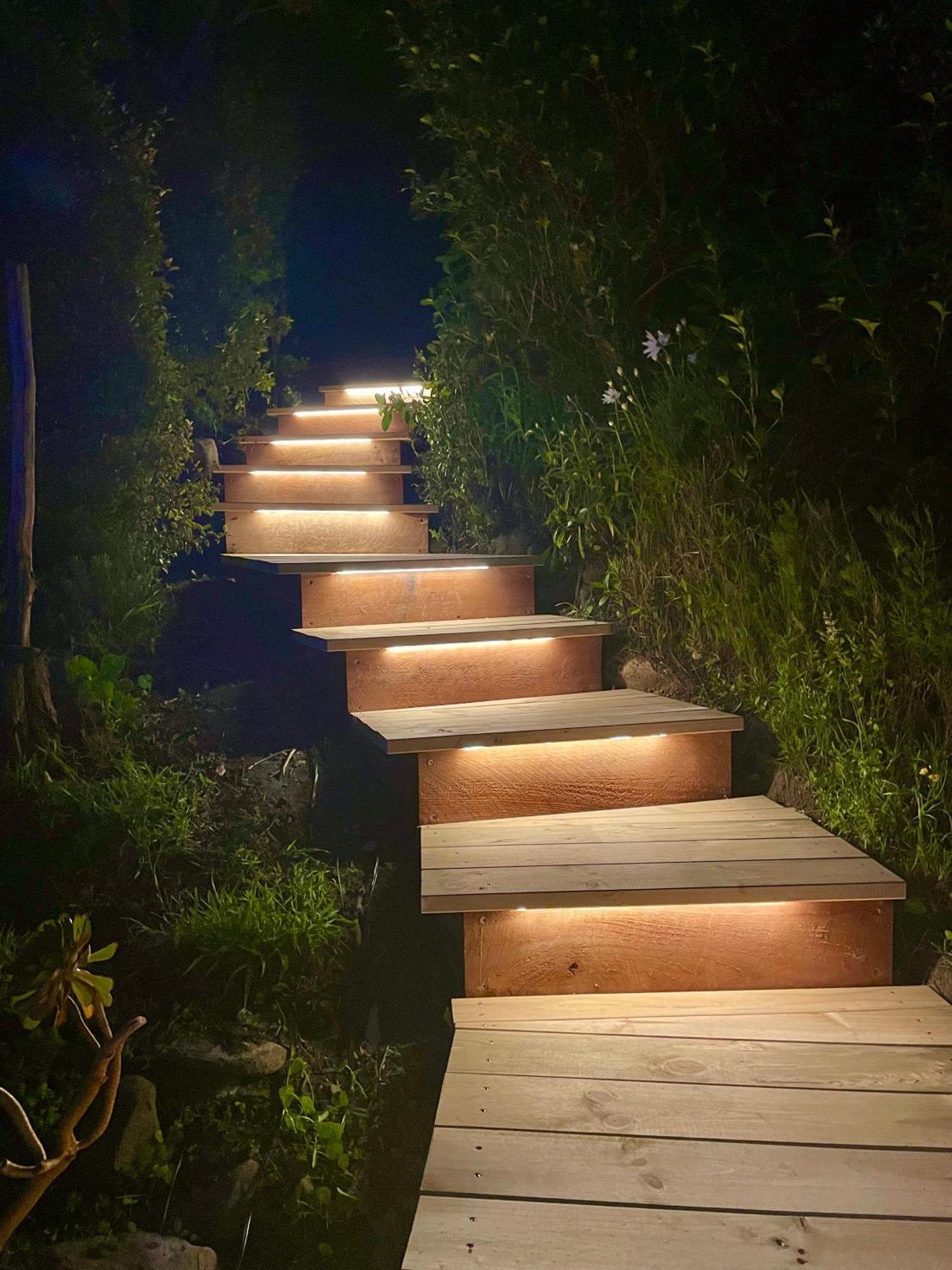 The Cove Cabin - Your Quiet Escape ดะนีดิน ภายนอก รูปภาพ